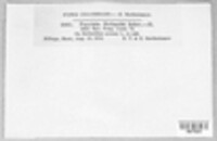 Image Associated With the Occurence